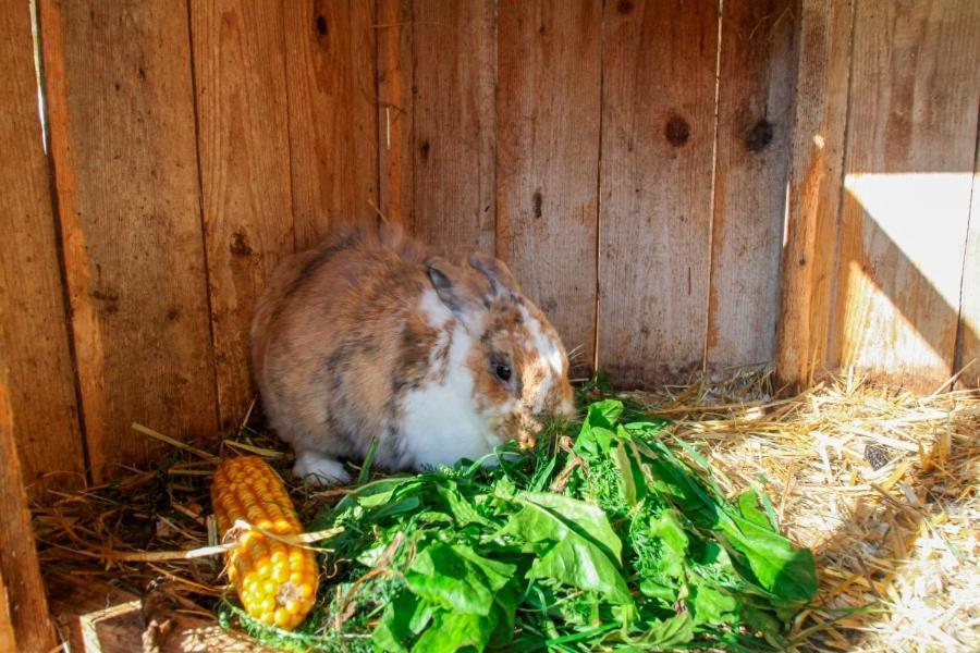 Beim Appertinger Bauernhof Truchtlaching