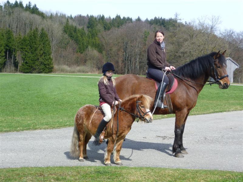 Beim Appertinger Bauernhof